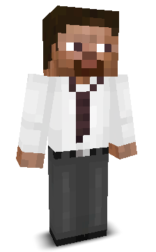 BTC_P0kor1a's skin