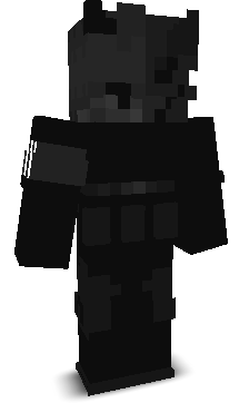 xsets's skin