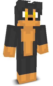 PixelPandamc's skin