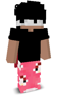 vSandHawkkk's skin