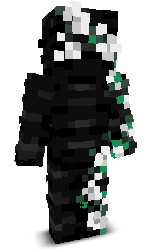 riib_'s skin