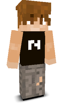 NajoKingYT's skin
