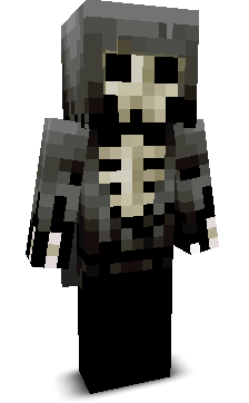 Dualzz's skin