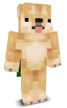 _Raaphi's skin