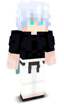 Reckless10SC's skin