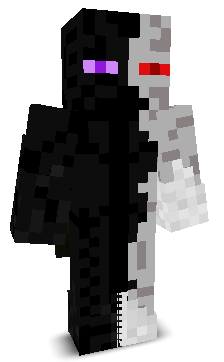 Mr_Zerofighter's skin