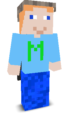 LIEGER's skin