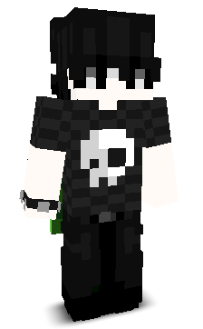 rvzh's skin