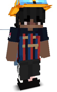 Envixirty's skin