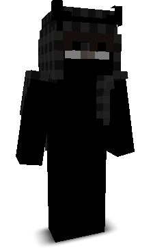 PerplexityClips's skin