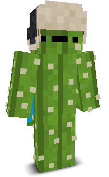 baasvan's skin
