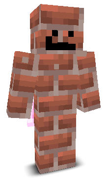 bri1k's skin