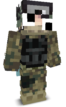 blox13249's skin