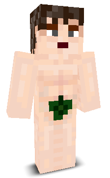 Mkanic_'s skin