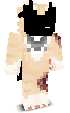 By_Miaou's skin