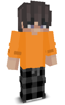 ryzensocks's skin