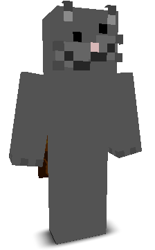 _Hedgi's skin