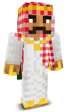 PvpPro2121's skin