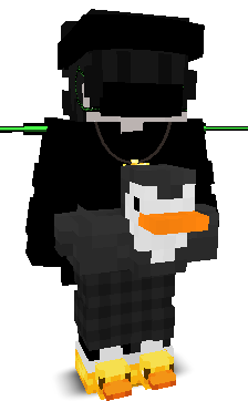 VoidGaming66's skin