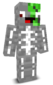 ToxicsteinYT's skin