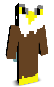 Hawknok's skin