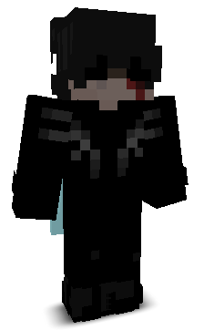 BlockyLadki's skin