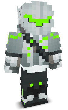 JMplayz2611's skin