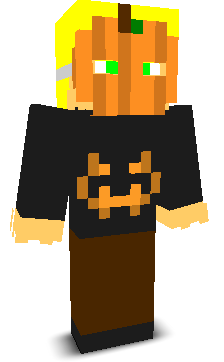 2957839602365417's skin