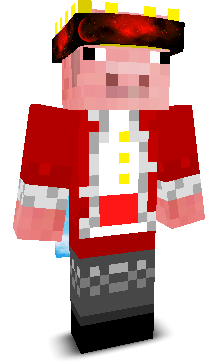TooMuchBridge's skin