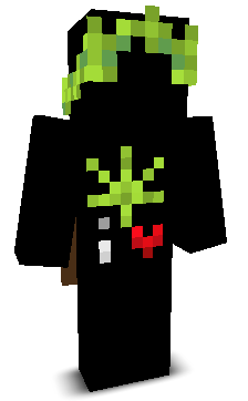 guus_WS's skin