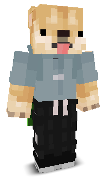 IdkDoge's skin