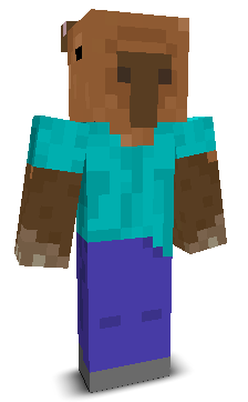 ToxicHackerman's skin