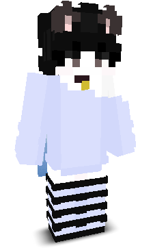AssassinDogYT's skin