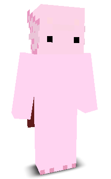 ysamy's skin