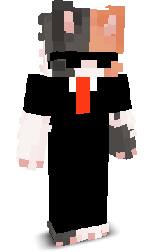 LeVraiMiniPi's skin