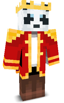 _KingPanda1_'s skin