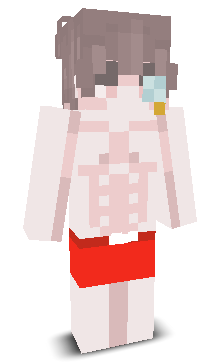 StrefaHit's skin