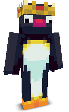 NotPenguinMC's skin