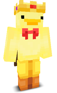 DuckMinister629's skin