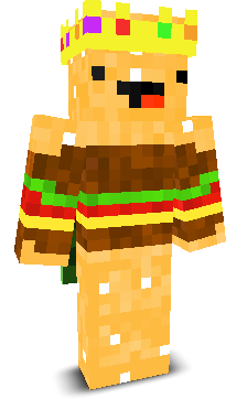 Eletrohax_Playz's skin