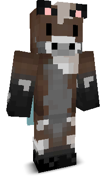 B0VIN0IDE's skin