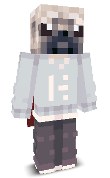 SirPug's skin