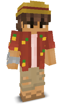 Ninjaboy's skin