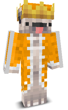 4y3n's skin