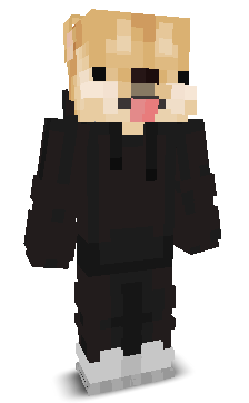 solooow's skin
