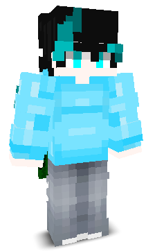 itz_rs's skin