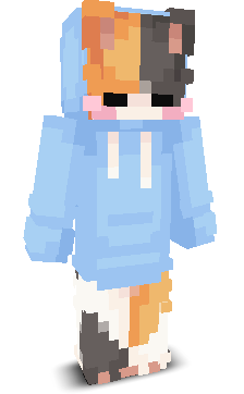 Skyzzz478's skin
