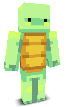 TurtleNinja1528's skin
