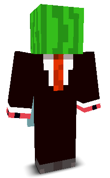 RIX9751's skin