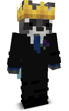 TTVraccoon1's skin